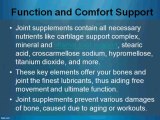 Benefits of Bone & Joint Supplements
