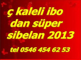 Seslisin.com_Roman_Sibel_Can