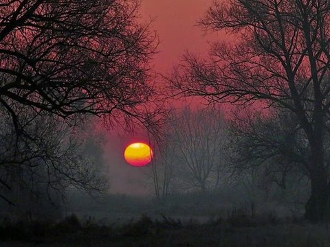 Anna German / Анна Герман - Выхожу один я на дорогу / Wychodzę samotny na drogę