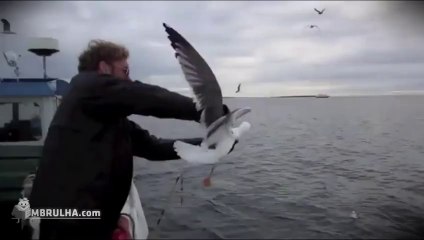 Pescador pesca ave - EMBRULHA.com