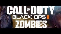 Black Ops 2 ZOMBIES 