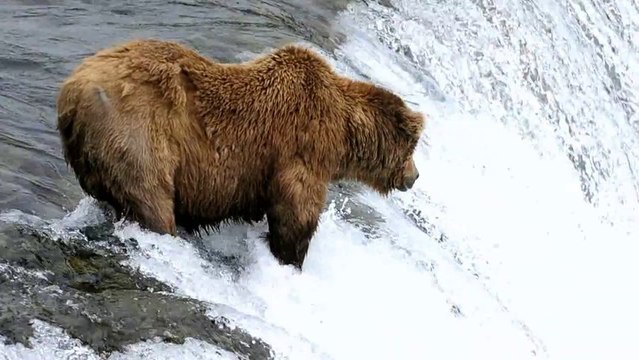 vb-photo : Alaska 2010