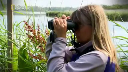 ДРЕВНИТЕ ДОСИЕТА _ Х _ - ШИФЪРЪТ НА ИНКИТЕ _ 2012 (BG AUDIO)