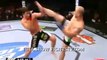 Watch Mauricio Rua vs Chael Sonnen Fight