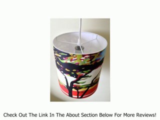 Cypress Cove 8" Colorful Pendant Light with Free LED Bulb Handmade in California By Rowan Chase Review