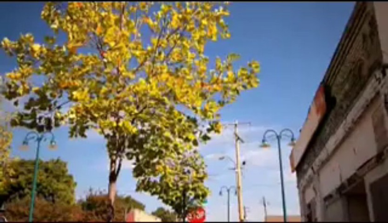 Black People's Addiction 2 Soul Food