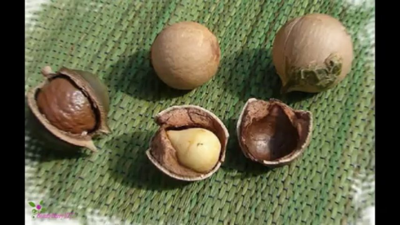 MACADAMIA NATURAL OIL Μάσκα για Έξτρα Ενυδάτωση