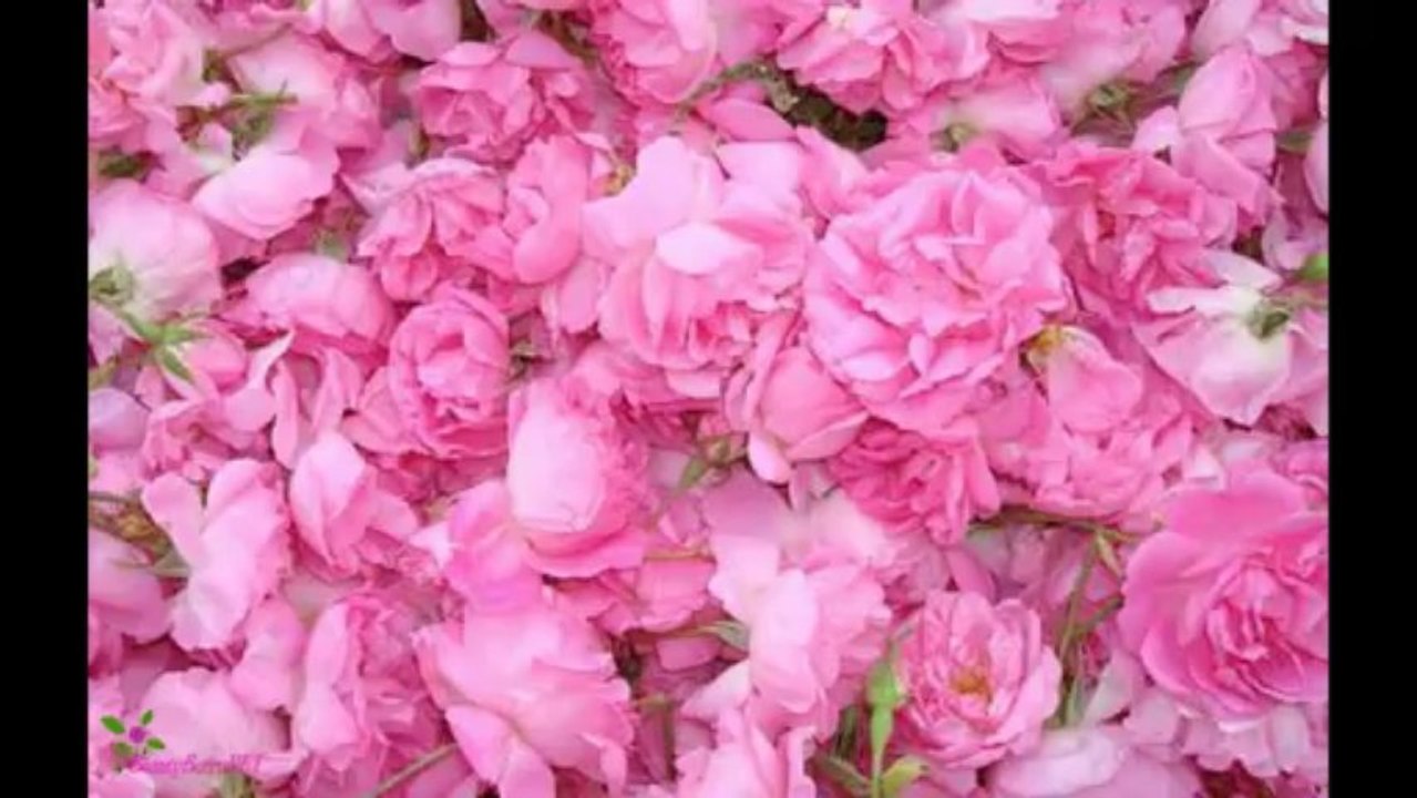 LANCOME O D'Azur  Άρωμα EDT Σπρέυ