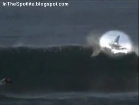 Surfing Shark Attack with Two Great White Sharks (4.5 meters) - 2besaved.com