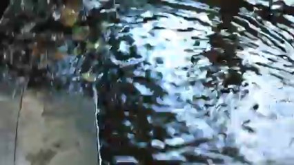 La toilette INTERDITE...