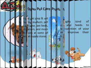 Procure Wholesale Pet Supplies Online At Affordable Costs