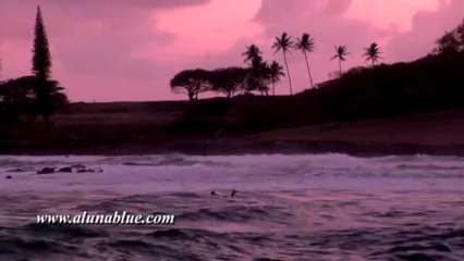 Stock Video - Stock Footage - Video Backgrounds - Tropical 0311