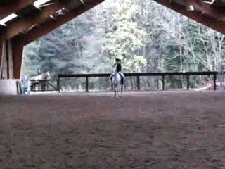 reprise dressage étrier d'or