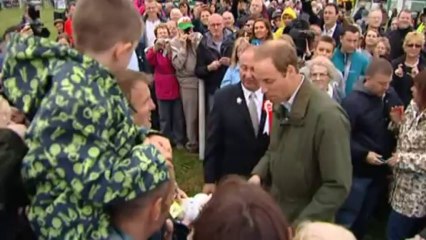 Prince William holds bird of pray in Anglesey