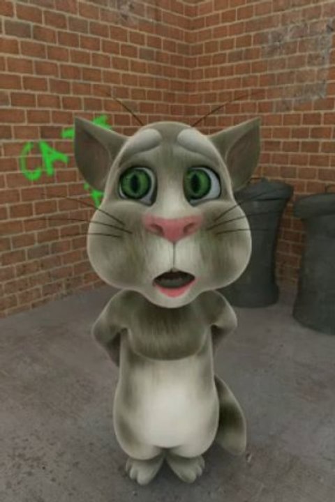 un chat Tom sefe tue sur teblet