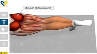 Leg Pull Down (Estabilização com elevação da perna)