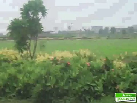 Rainy Weather in Lahore Air Port on 14th of aug. 2013(Jeeveypakistan.com)