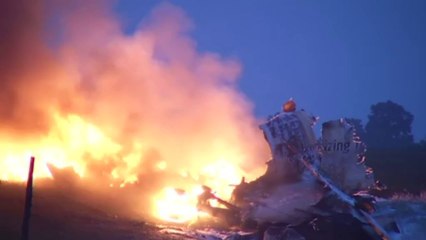 Dos muertos al estrellarse avión
