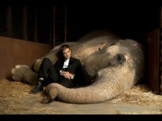 Water for Elephants (2011) Full Movie Part 1
