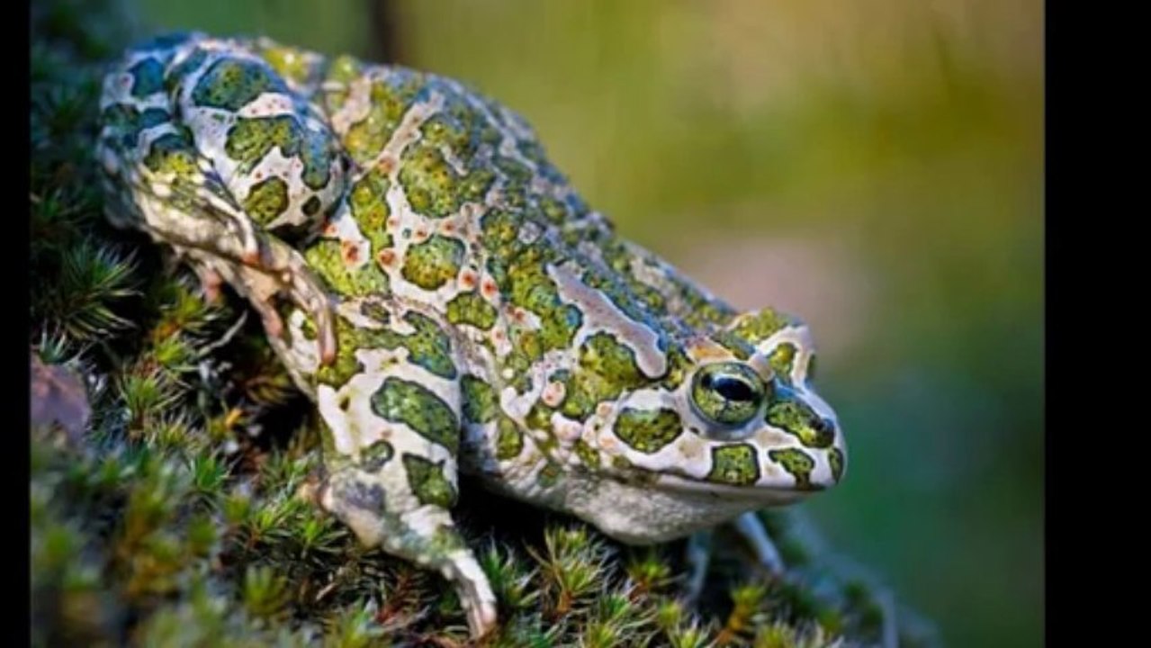 Bilder aus dem Internet