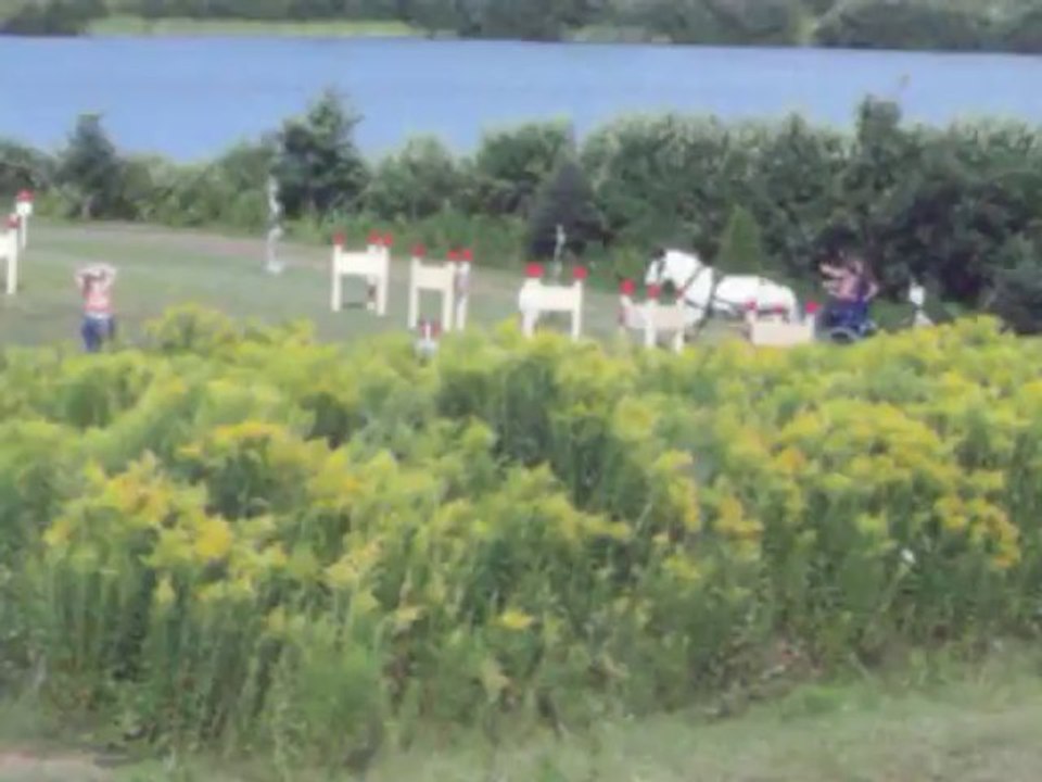 Derby d'attelage amicale