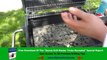 Barbecuing With Charcoal and Arranging Lump Charcoal For Indirect and Direct Grilling Tips