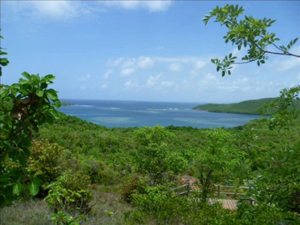 Bossamba