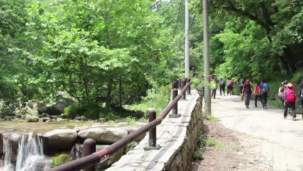 S.Korean hikers embrace haute-couture designer gear