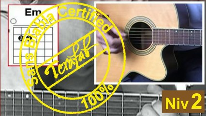Les prisons de nantes - Tri Yann [Tuto Guitare] by Terafab