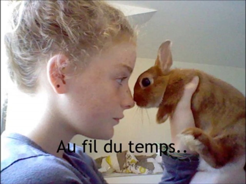 Bande Annonce du Blog.