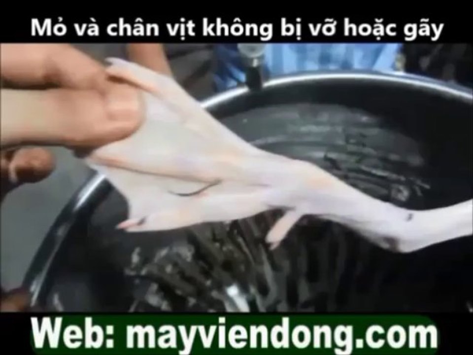 [May vat long ga] may lam long ga vit