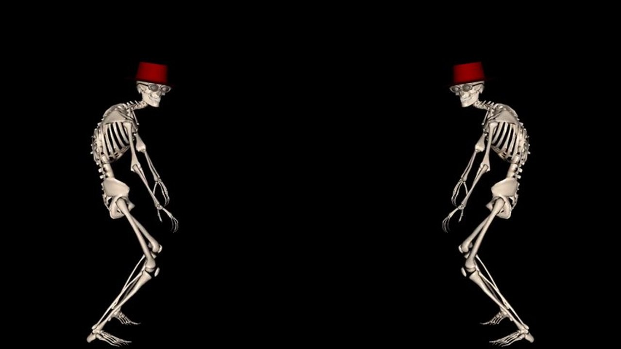 Check out these dancing Skeletons!!  - http://www.vfuns.com