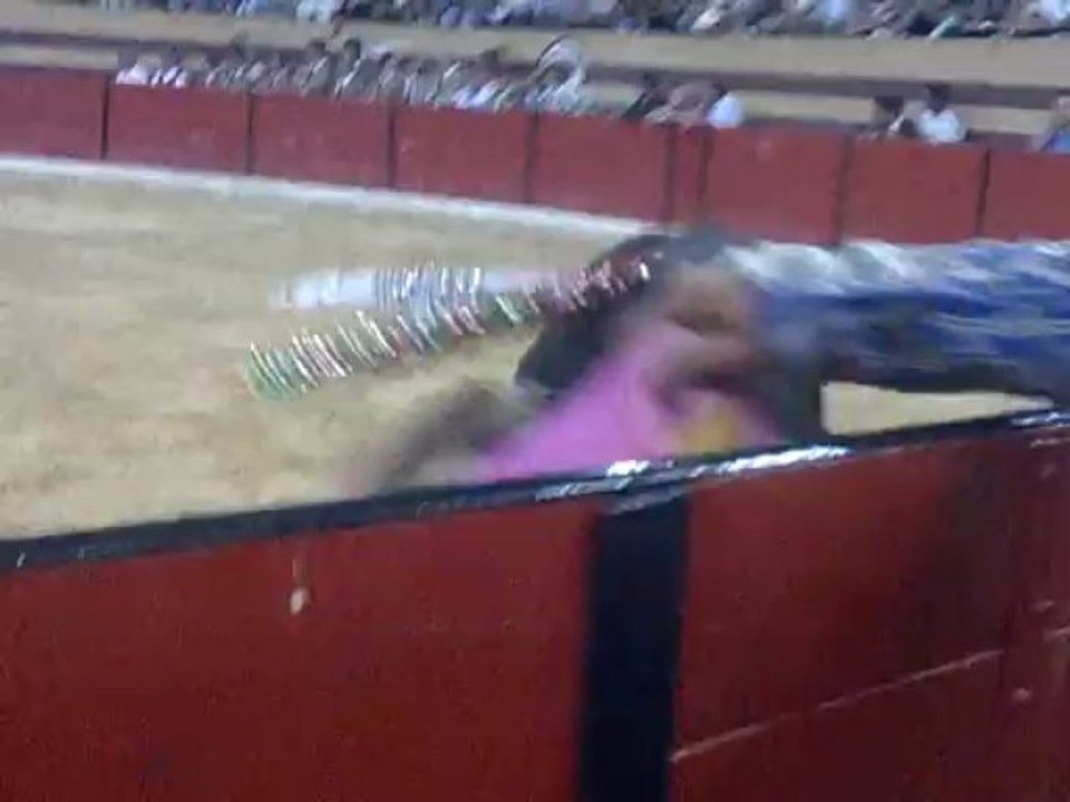 HENRIQUE FERREIRA DOS AMADORES DE SANTARÉM PEGA TOIRO DE FRANCISCO ROMÃO TENÓRIO EM ABIUL