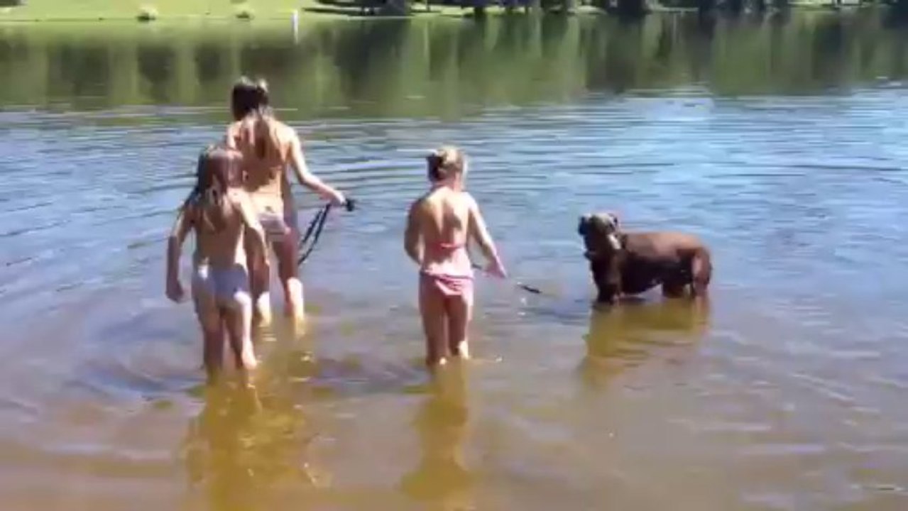 Vidéo