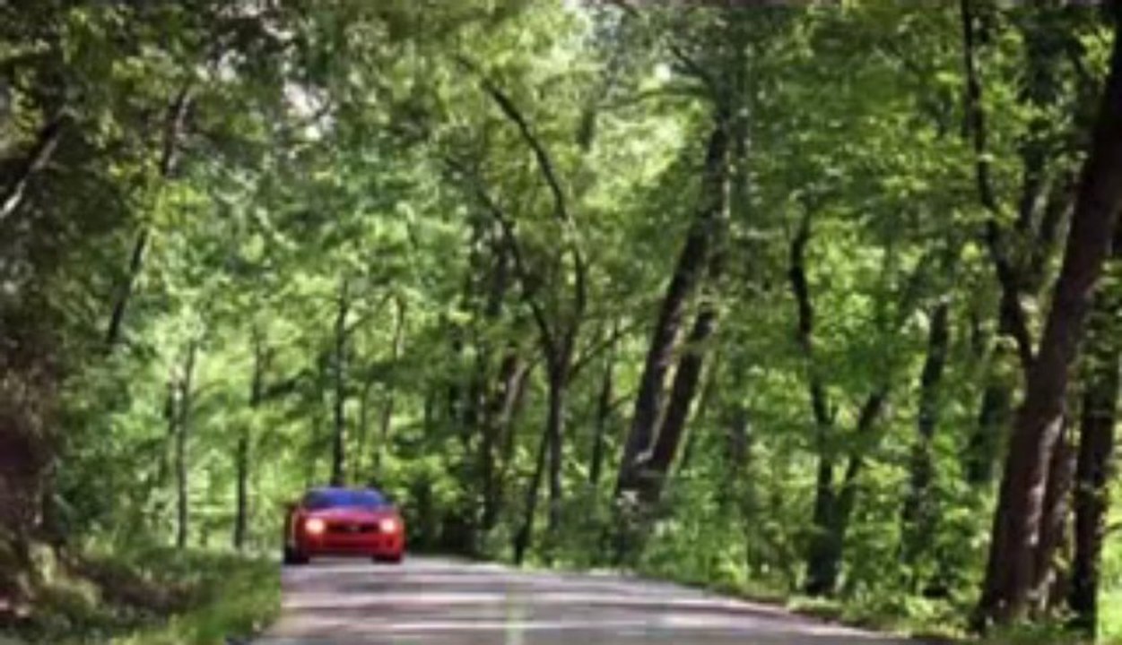 Chevrolet Camaro Dealer Lakeland, FL | Chevrolet Camaro Dealership Lakeland, FL
