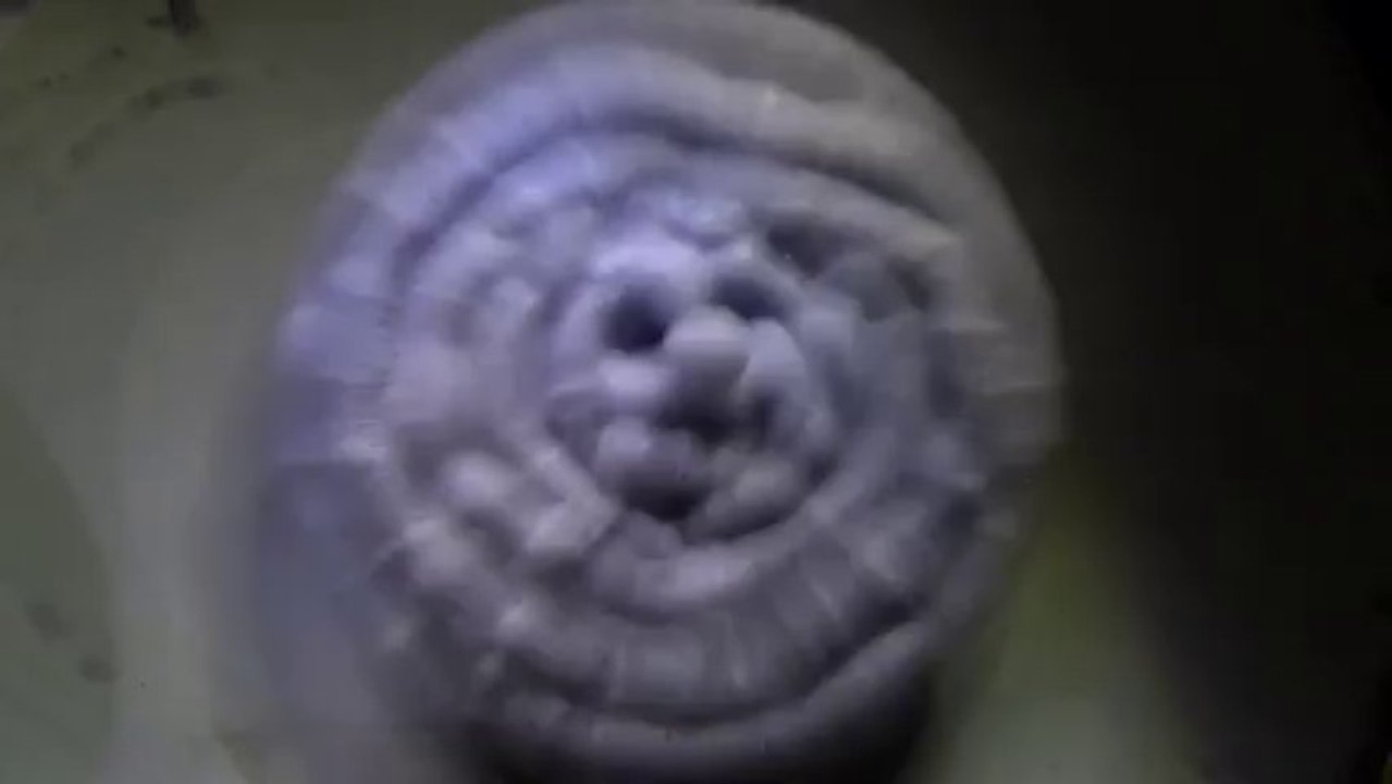 Concentric