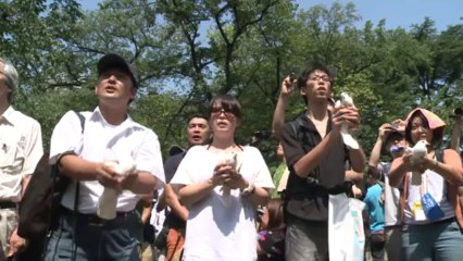 Japan ministers visit controversial war shrine