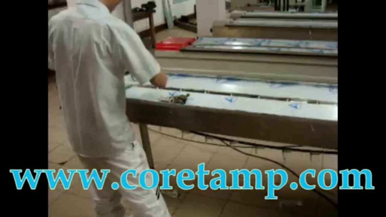 Popsicle stick packaging machine, Popsicle flow packer