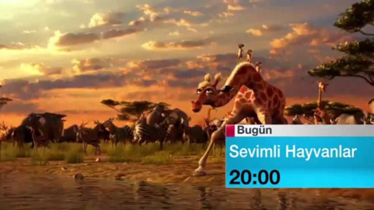 SEVIMLI HAYVANLAR B2