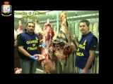 Palermo - Via Altofonte, sequestrate due tonnellate di carne avariata (08.08.13)