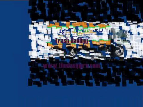 1-877-Dump-Pro junk removal