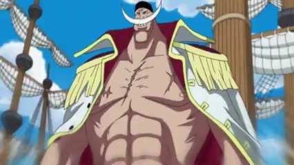 One Piece - Fake Trailer [Japan Expo 2013]