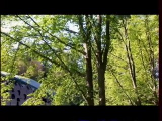Mozart andante du concerto pour piano n°21 K.467