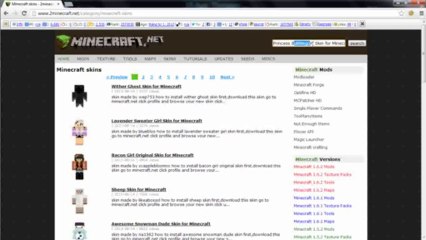 Princess Bubblegum Skin for Minecraft