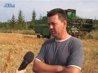 Proizvodnja lana, 15. avgust 2013.