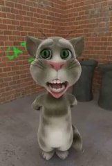 Eid Mubarak Tom cat