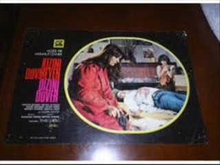 Baksana Talihe - Viens Dans Ma Vie Islıklı Versiyon ( Fly Butterfly Sibilant sound )