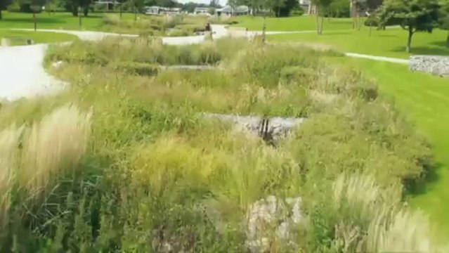 Lacs de l'Eau d'Heure - Entre Ciel et Terre - 0820