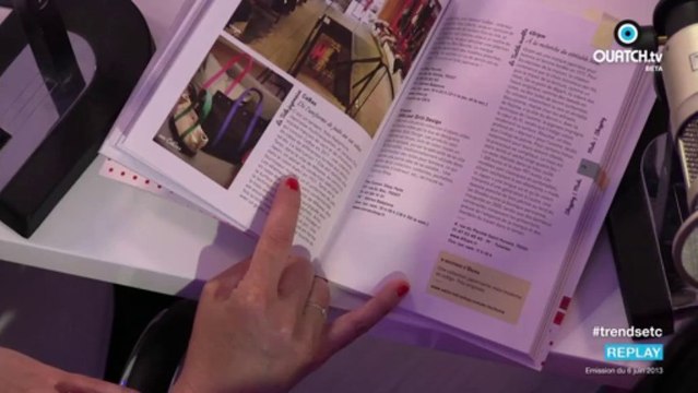 TRENDS etc... S01E01 (le magazine de toutes les tendances) : Spécial Japon