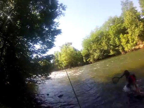 remise a l eau ,, truite fario::éssai sous l eau impec